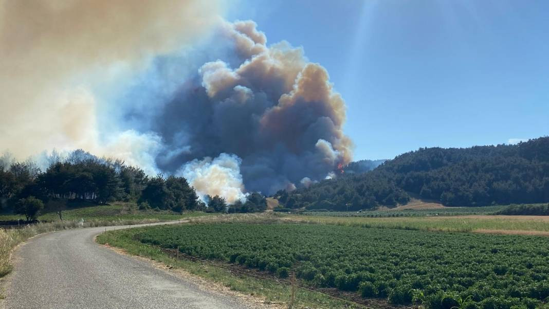 Çanakkale'deki Tarihi Alan'ın güney hattı ziyarete açıldı! Orman yangınında kapatılmıştı - Resim: 12